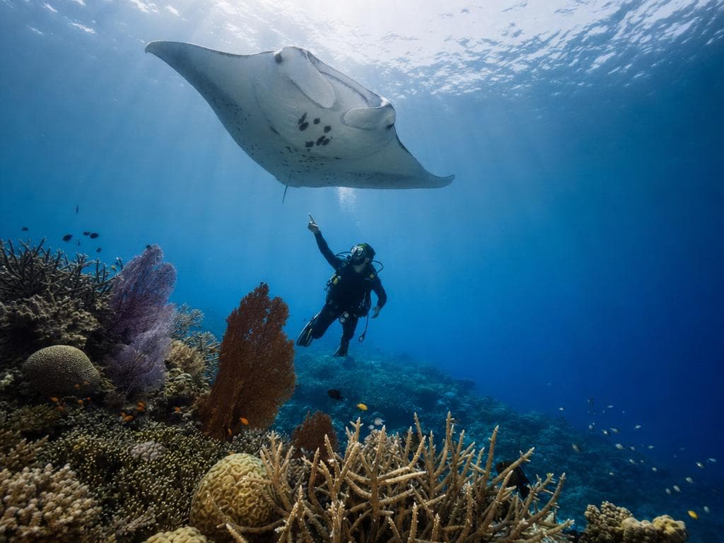 واكاتوبي: جنة تحت الماء